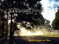 Herbstnebel ber Teich bei Allrode