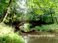 Wasserspiegelei im Selketal