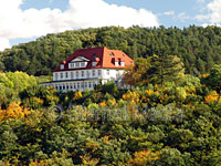 Herbst am Stubenberg Gernrode